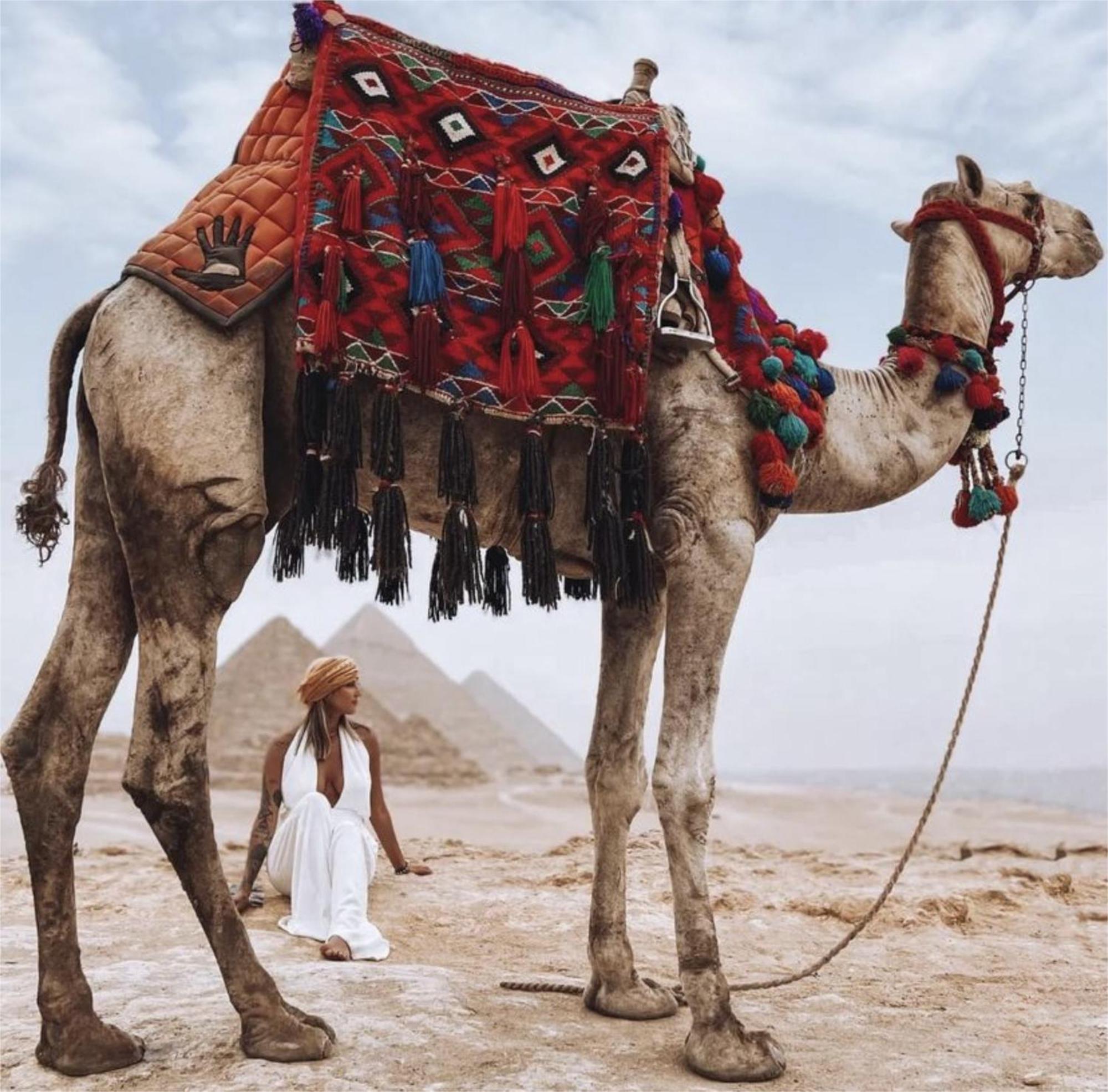 Pyramids Plateau View Bed and Breakfast Il Il Cairo Esterno foto